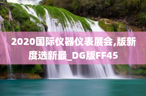 2020国际仪器仪表展会,版新度选新最_DG版FF45