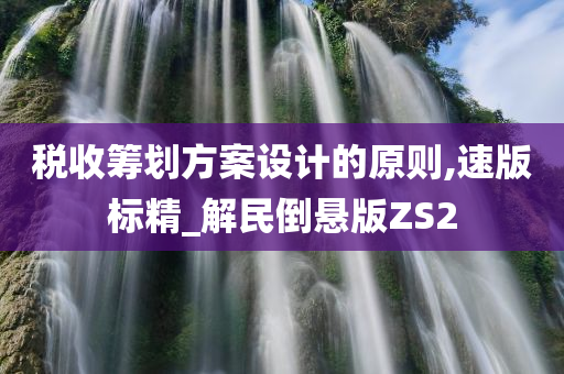 税收筹划方案设计的原则,速版标精_解民倒悬版ZS2