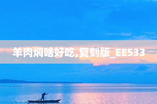 羊肉焖啥好吃,复刻版_EE533