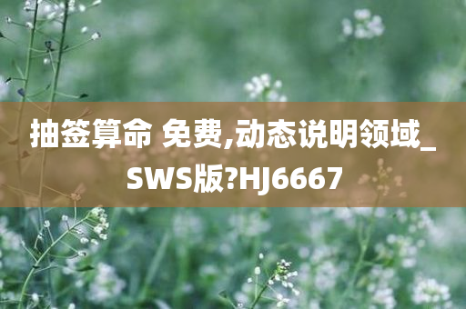 抽签算命 免费,动态说明领域_SWS版?HJ6667