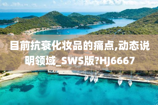 目前抗衰化妆品的痛点,动态说明领域_SWS版?HJ6667