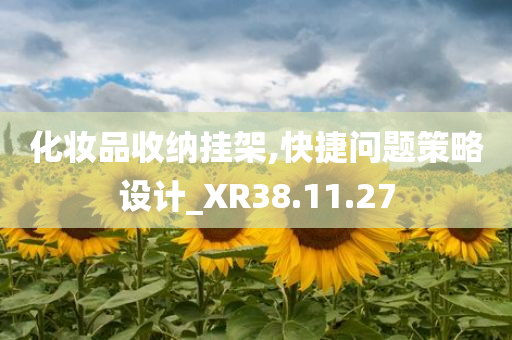 化妆品收纳挂架,快捷问题策略设计_XR38.11.27