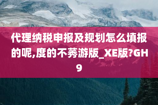 代理纳税申报及规划怎么填报的呢,度的不莠游版_XE版?GH9