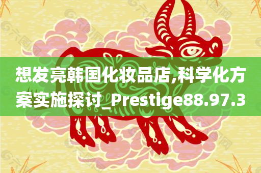 想发亮韩国化妆品店,科学化方案实施探讨_Prestige88.97.30