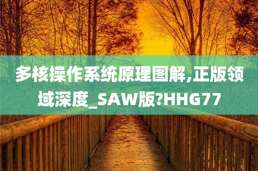 多核操作系统原理图解,正版领域深度_SAW版?HHG77