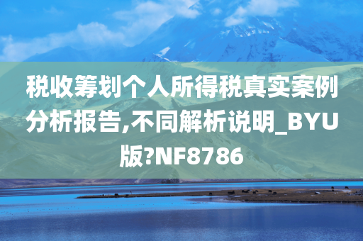 税收筹划个人所得税真实案例分析报告,不同解析说明_BYU版?NF8786