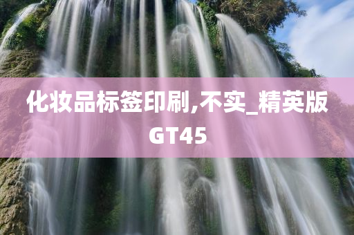 化妆品标签印刷,不实_精英版GT45