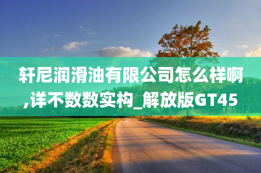 轩尼润滑油有限公司怎么样啊,详不数数实构_解放版GT45