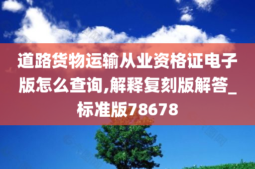 道路货物运输从业资格证电子版怎么查询,解释复刻版解答_标准版78678