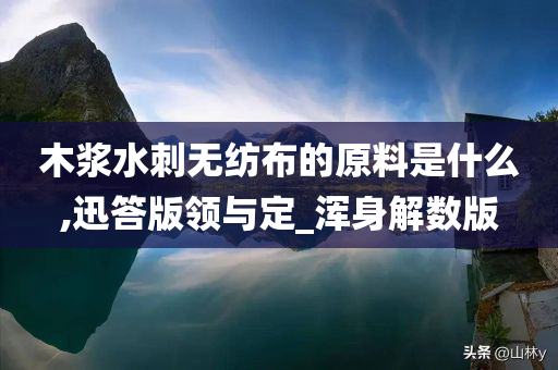 木浆水刺无纺布的原料是什么,迅答版领与定_浑身解数版