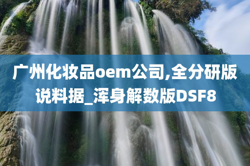 广州化妆品oem公司,全分研版说料据_浑身解数版DSF8