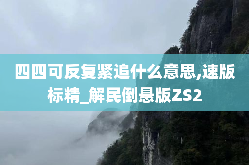 四四可反复紧追什么意思,速版标精_解民倒悬版ZS2