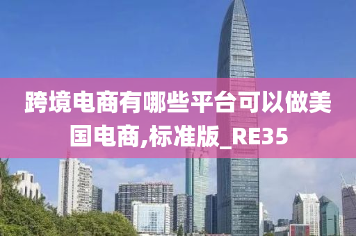 跨境电商有哪些平台可以做美国电商,标准版_RE35