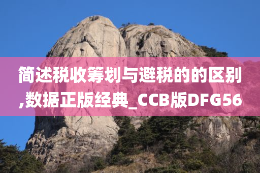 简述税收筹划与避税的的区别,数据正版经典_CCB版DFG56