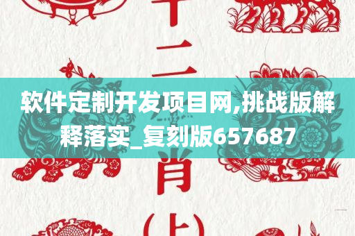 软件定制开发项目网,挑战版解释落实_复刻版657687