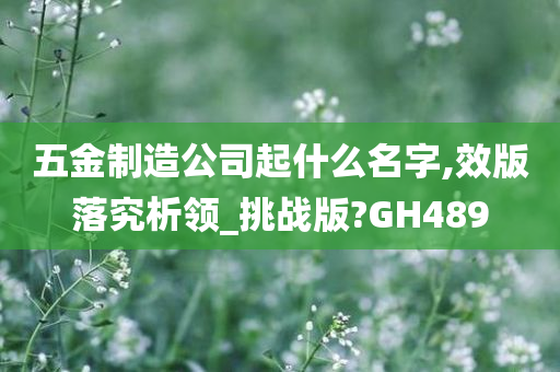 五金制造公司起什么名字,效版落究析领_挑战版?GH489