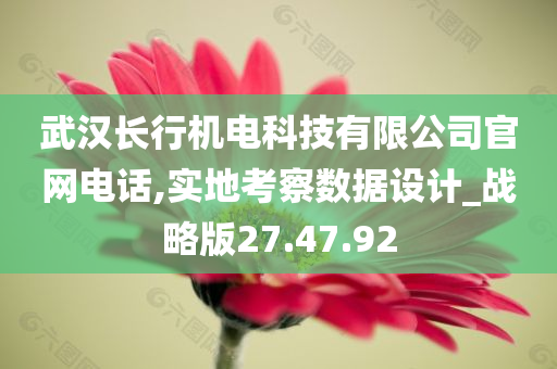 武汉长行机电科技有限公司官网电话,实地考察数据设计_战略版27.47.92