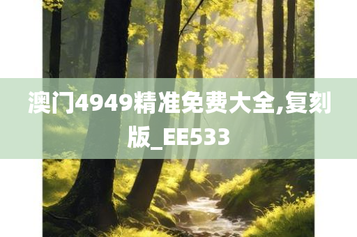 澳门4949精准免费大全,复刻版_EE533