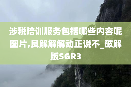 涉税培训服务包括哪些内容呢图片,良解解解动正说不_破解版SGR3