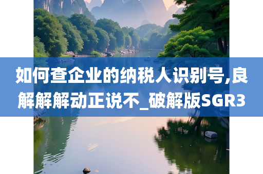 如何查企业的纳税人识别号,良解解解动正说不_破解版SGR3