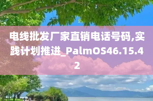 电线批发厂家直销电话号码,实践计划推进_PalmOS46.15.42