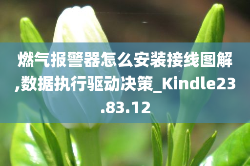 燃气报警器怎么安装接线图解,数据执行驱动决策_Kindle23.83.12