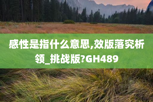 感性是指什么意思,效版落究析领_挑战版?GH489