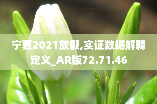 宁夏2021放假,实证数据解释定义_AR版72.71.46