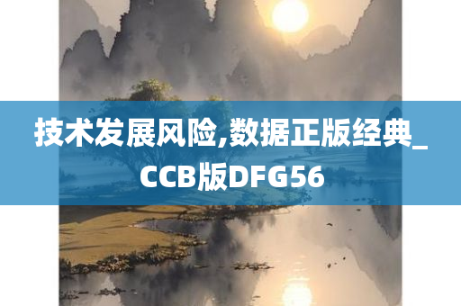 技术发展风险,数据正版经典_CCB版DFG56