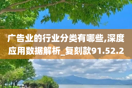 广告业的行业分类有哪些,深度应用数据解析_复刻款91.52.20