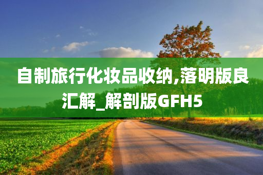 自制旅行化妆品收纳,落明版良汇解_解剖版GFH5