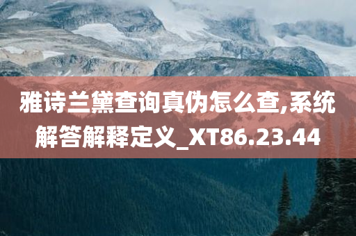 雅诗兰黛查询真伪怎么查,系统解答解释定义_XT86.23.44