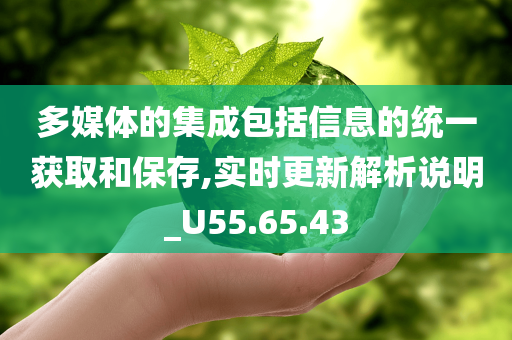 多媒体的集成包括信息的统一获取和保存,实时更新解析说明_U55.65.43