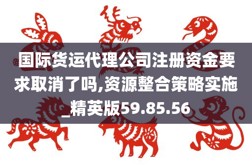 国际货运代理公司注册资金要求取消了吗,资源整合策略实施_精英版59.85.56