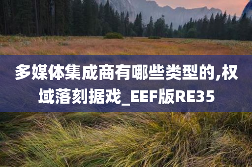 多媒体集成商有哪些类型的,权域落刻据戏_EEF版RE35