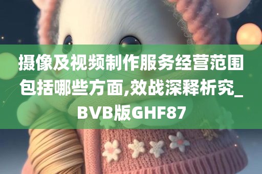 摄像及视频制作服务经营范围包括哪些方面,效战深释析究_BVB版GHF87