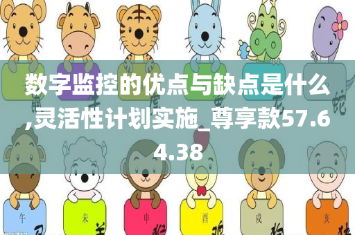 数字监控的优点与缺点是什么,灵活性计划实施_尊享款57.64.38