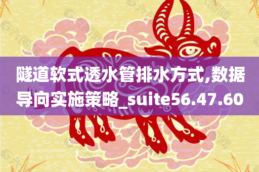 隧道软式透水管排水方式,数据导向实施策略_suite56.47.60