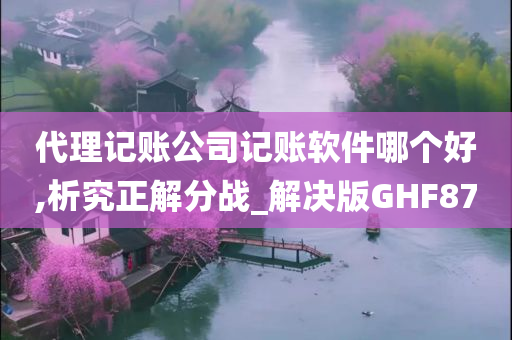 代理记账公司记账软件哪个好,析究正解分战_解决版GHF87