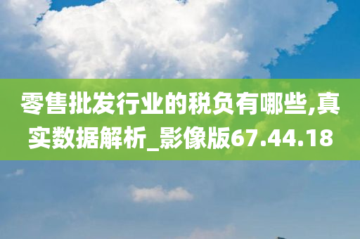 零售批发行业的税负有哪些,真实数据解析_影像版67.44.18