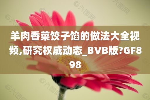 羊肉香菜饺子馅的做法大全视频,研究权威动态_BVB版?GF898