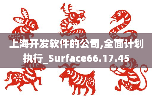 上海开发软件的公司,全面计划执行_Surface66.17.45