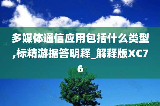 多媒体通信应用包括什么类型,标精游据答明释_解释版XC76