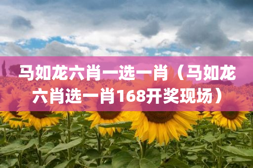 马如龙六肖一选一肖（马如龙六肖选一肖168开奖现场）