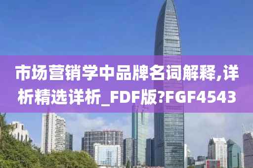 市场营销学中品牌名词解释,详析精选详析_FDF版?FGF4543