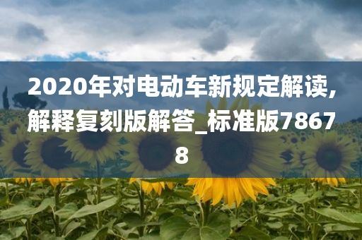 2020年对电动车新规定解读,解释复刻版解答_标准版78678