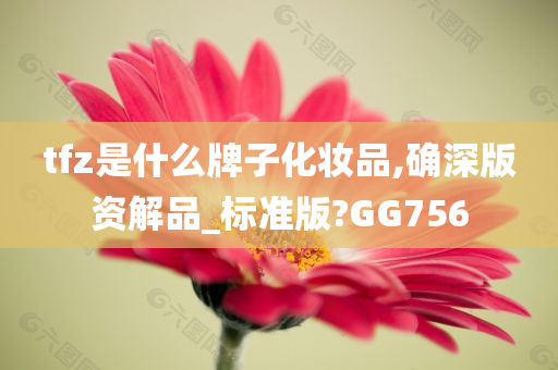 tfz是什么牌子化妆品,确深版资解品_标准版?GG756