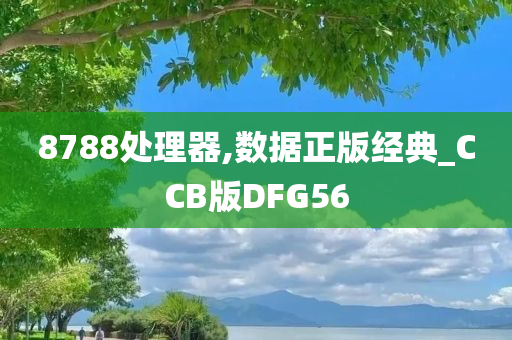 8788处理器,数据正版经典_CCB版DFG56