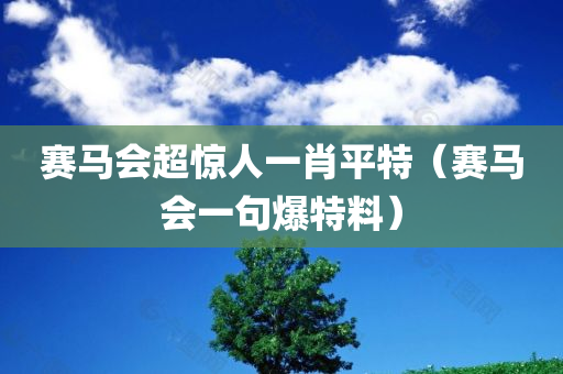 赛马会超惊人一肖平特（赛马会一句爆特料）