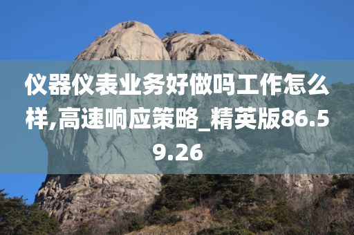 仪器仪表业务好做吗工作怎么样,高速响应策略_精英版86.59.26